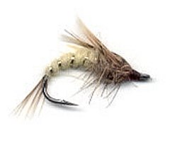 March Brown Pupa