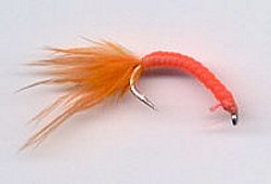 Bloodworm