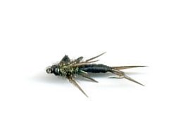 Stonefly Nymph