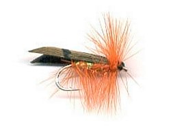 Fiery Sedge