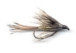 March Brown Wet