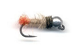 Red-arsed Brown Jig