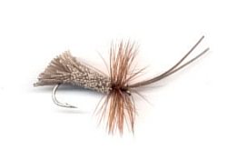 Goddard Caddis