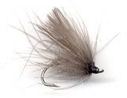CDC Blue Dun