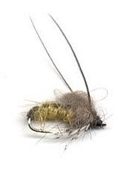 CDC Caddis Pupa