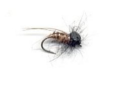 March Brown Pupa