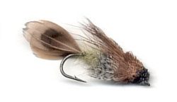 Sculpin