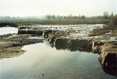 PIC07