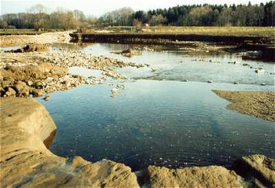 PIC08