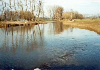 PIC09