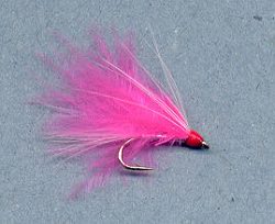 Feather Duster