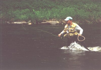Milan utka