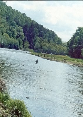 Vltava v Borov