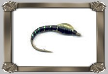 Black and Green Buzzer
