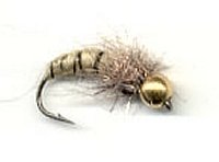 Zlatohlav larva chrostka