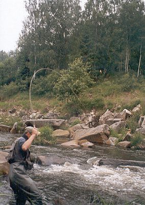  Pstruh vzdoruje 