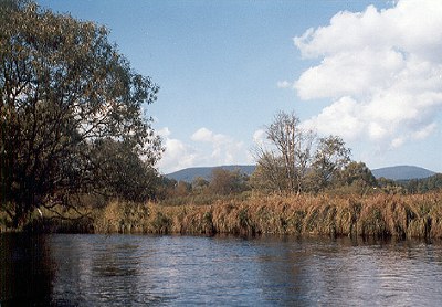  Vltava nad Soumarskm mostem 