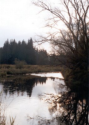  Podzim na Vltav 33 