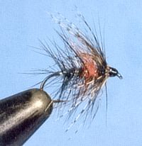 Bibio variant (partridge hackle)