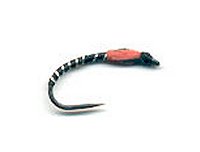 Black Buzzer Anglie