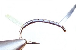 Tlkov zt Bugu