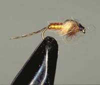 Bodyglass Nymph