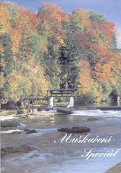 Katalog