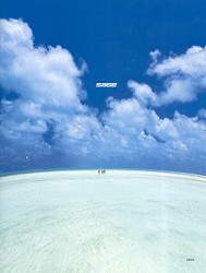 Nov katalog Sage 2004