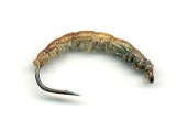 CZN Natural Olive