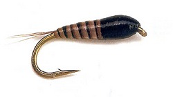  La Nymphe Quill 