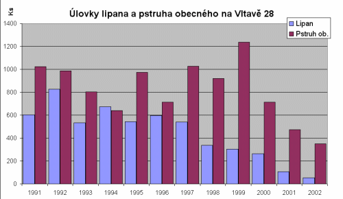 lovky lipana a pstruha obecnho na revru Vltava 28