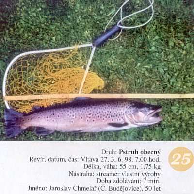 Pstruh obecn - Vltava 27