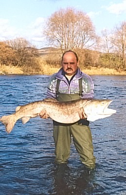Hlavatka 139 cm, 23 kg