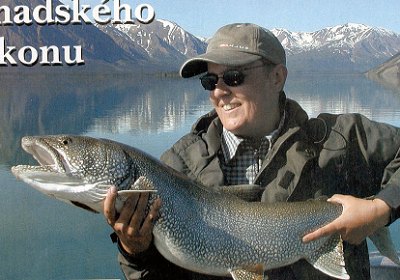  Siven obrovsk 