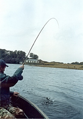 Martin na Loch Lossit