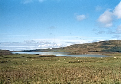 Loch Finlaggan