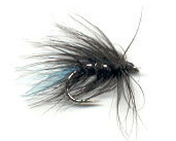 Blue Zulu JB