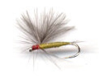  CDC Para Olive Dun var 
