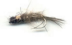  Jungle Cock Hares Ear 