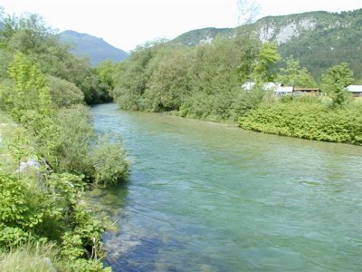  Sava - Bohinjka 