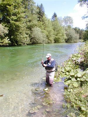  Jja na Bohinjce 