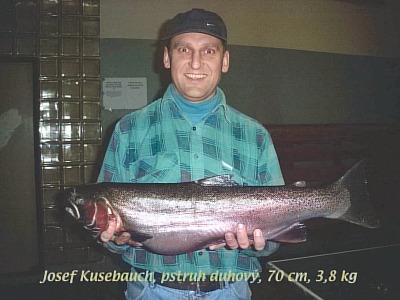 Pstruh duhov, 70 cm, 3.8 kg