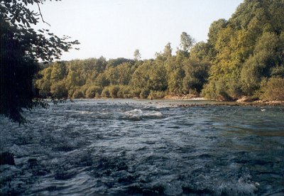  Traun 
