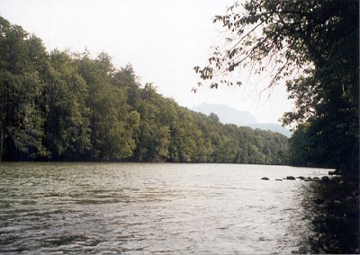  Traun 