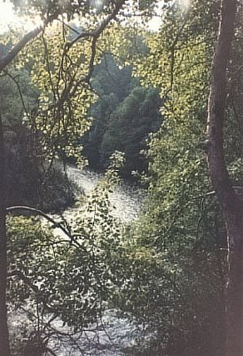 Pohled na Vltavu
