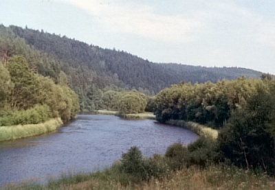 Pod Zton