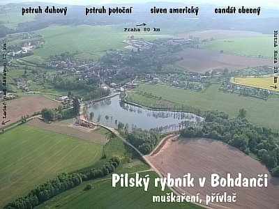 Pilsk rybnk