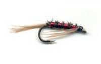  Red Diawl Bach 
