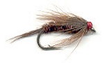  Brown Nymph 