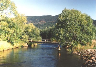Vltava nad Lipnem